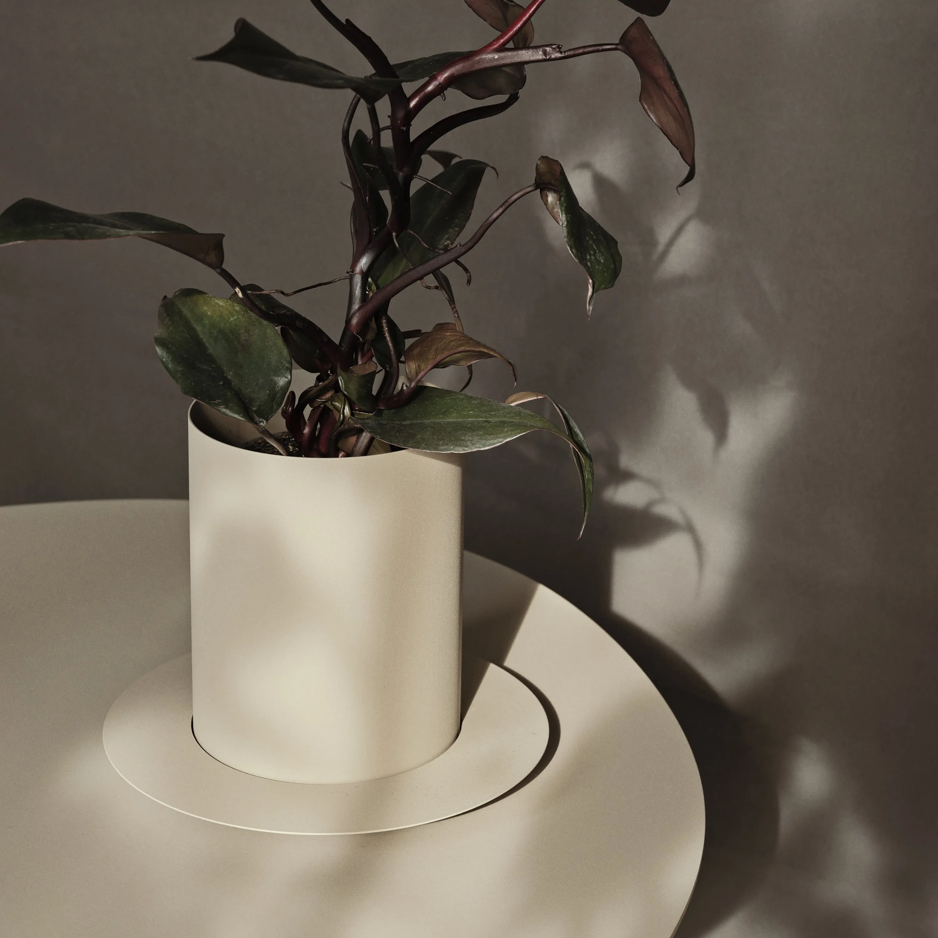 Auran Planter