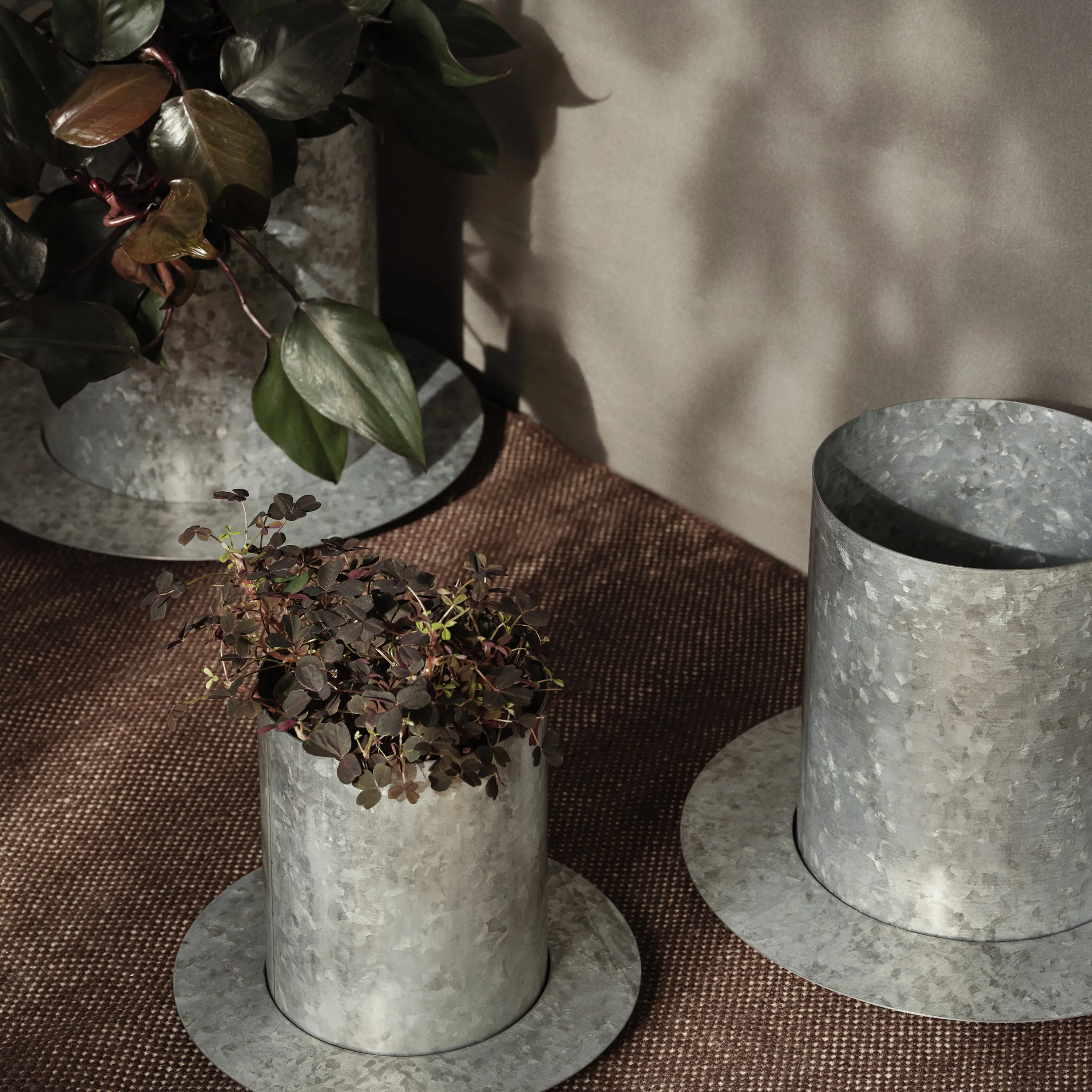 Auran Planter