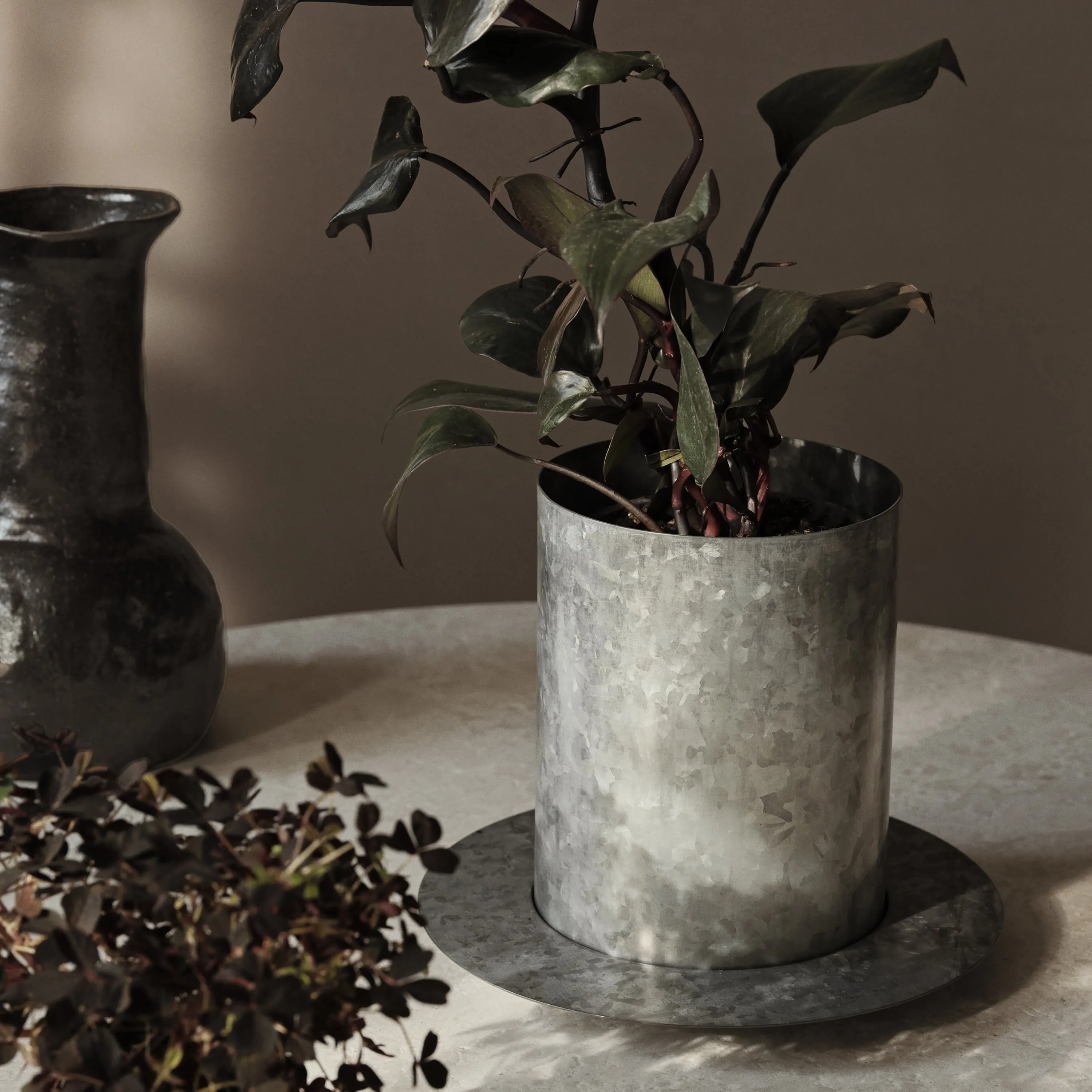 Auran Planter