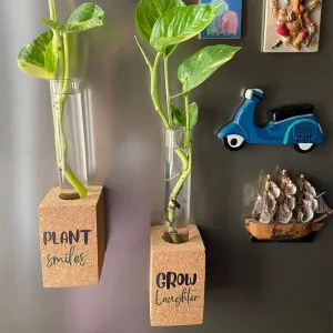 Cork Propagation Planter -  Set of 2