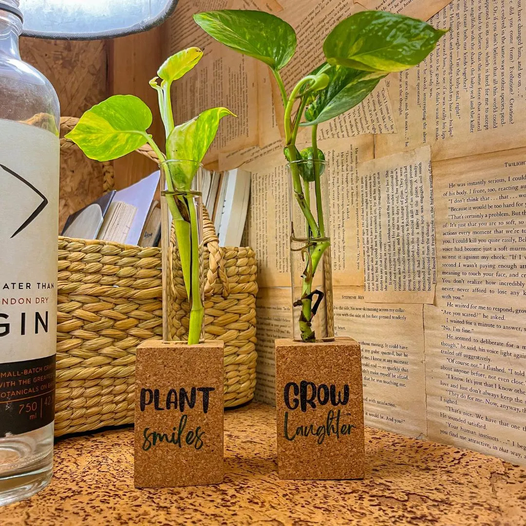 Cork Propagation Planter -  Set of 2