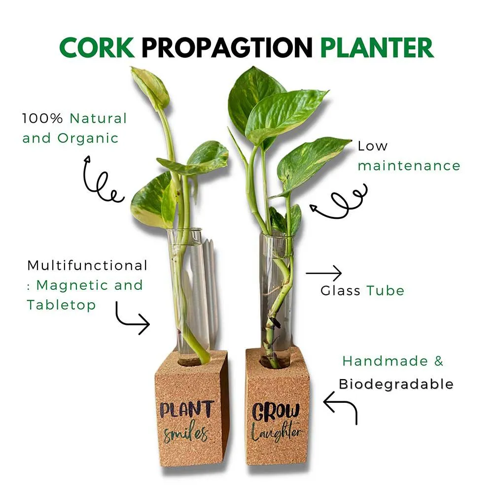 Cork Propagation Planter -  Set of 2