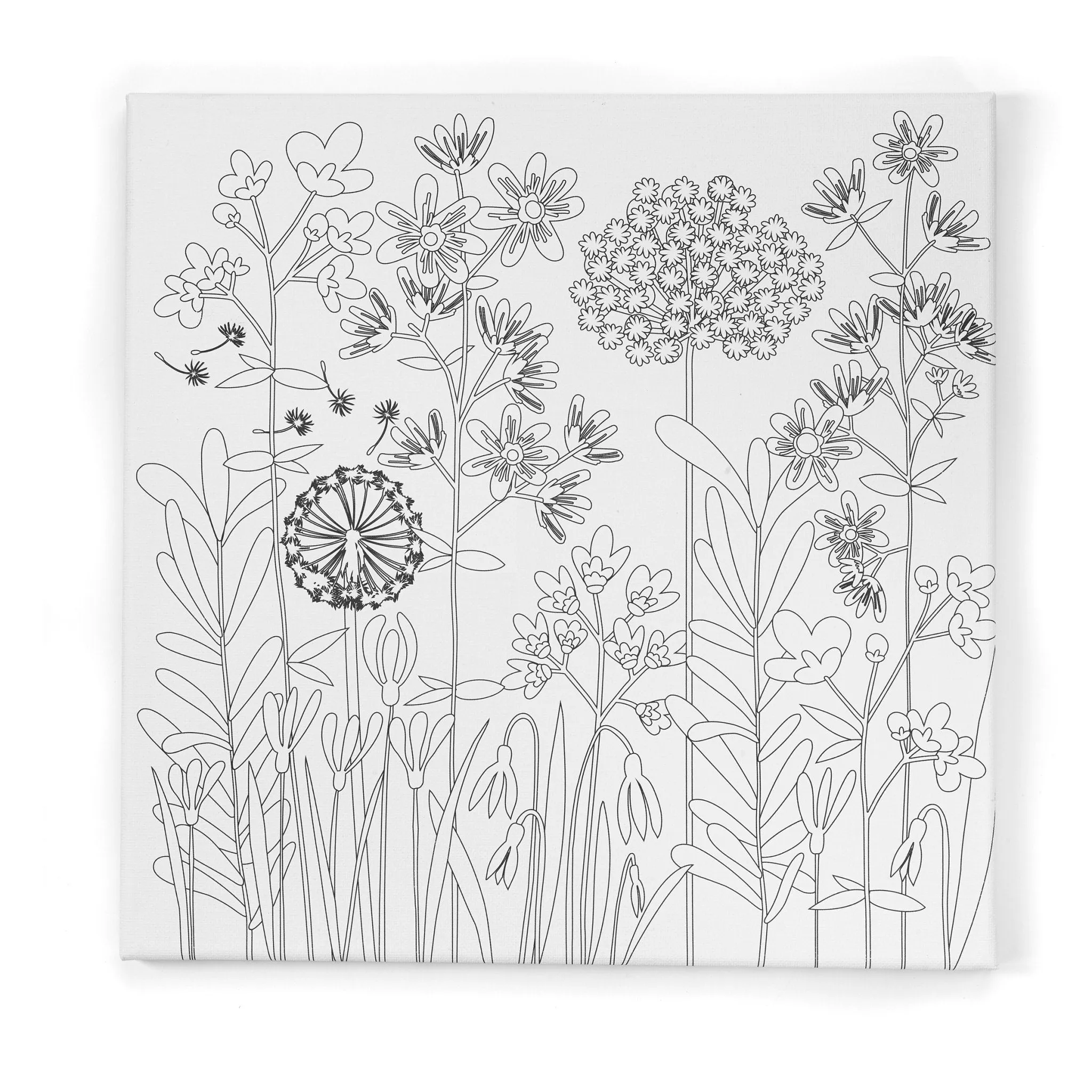 Paint By Number Watercolor Set - Farmhouse Floral