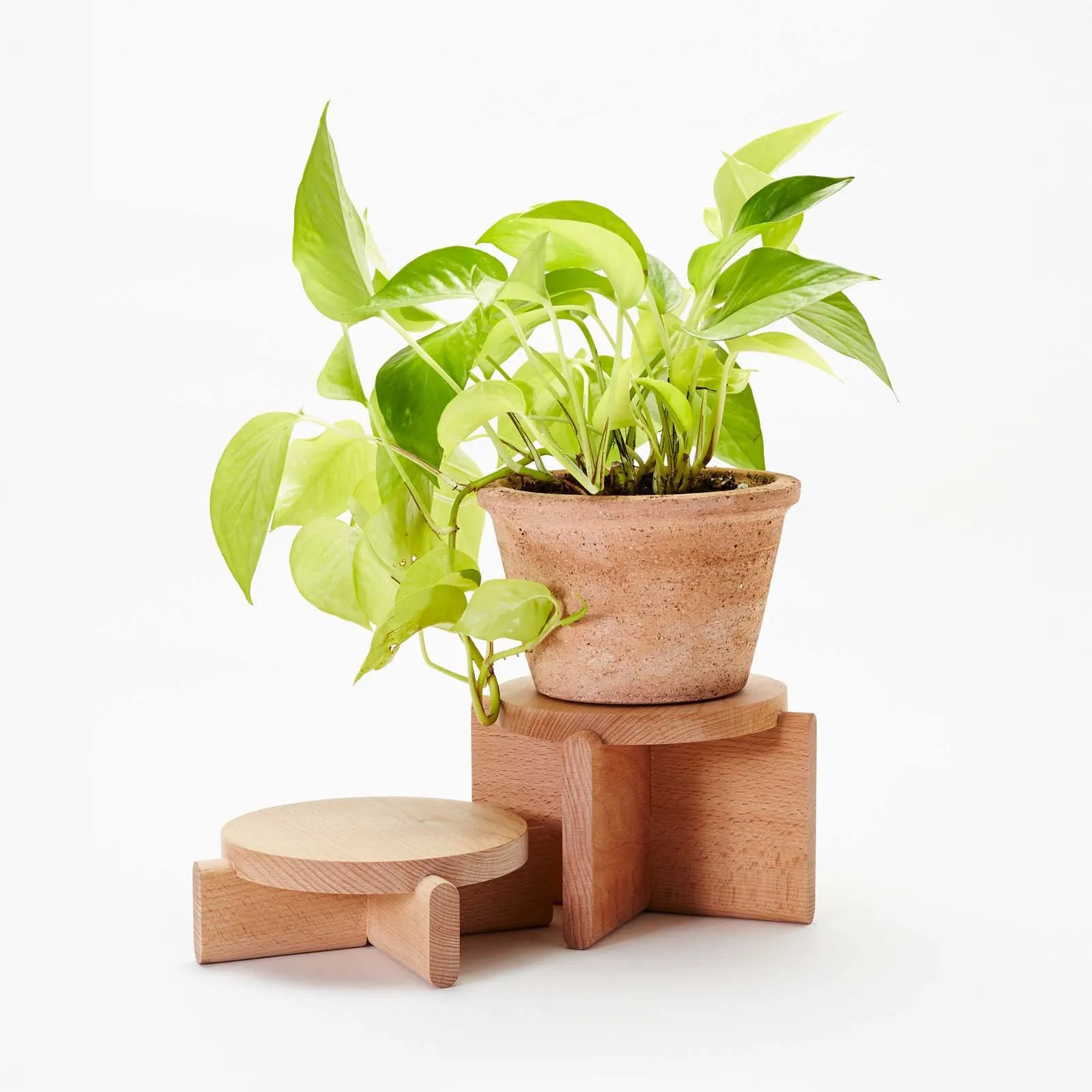 Plant Pedestal Set