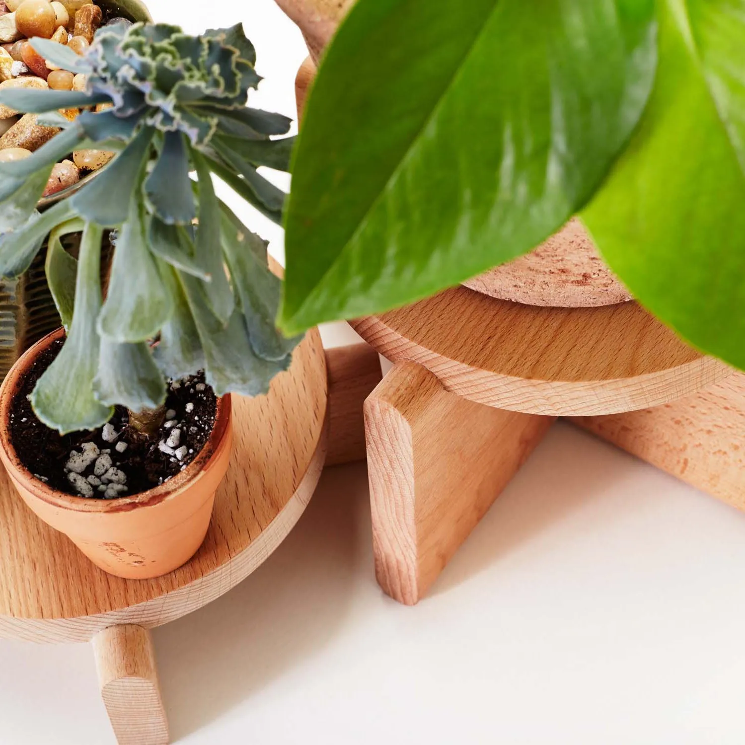 Plant Pedestal Set