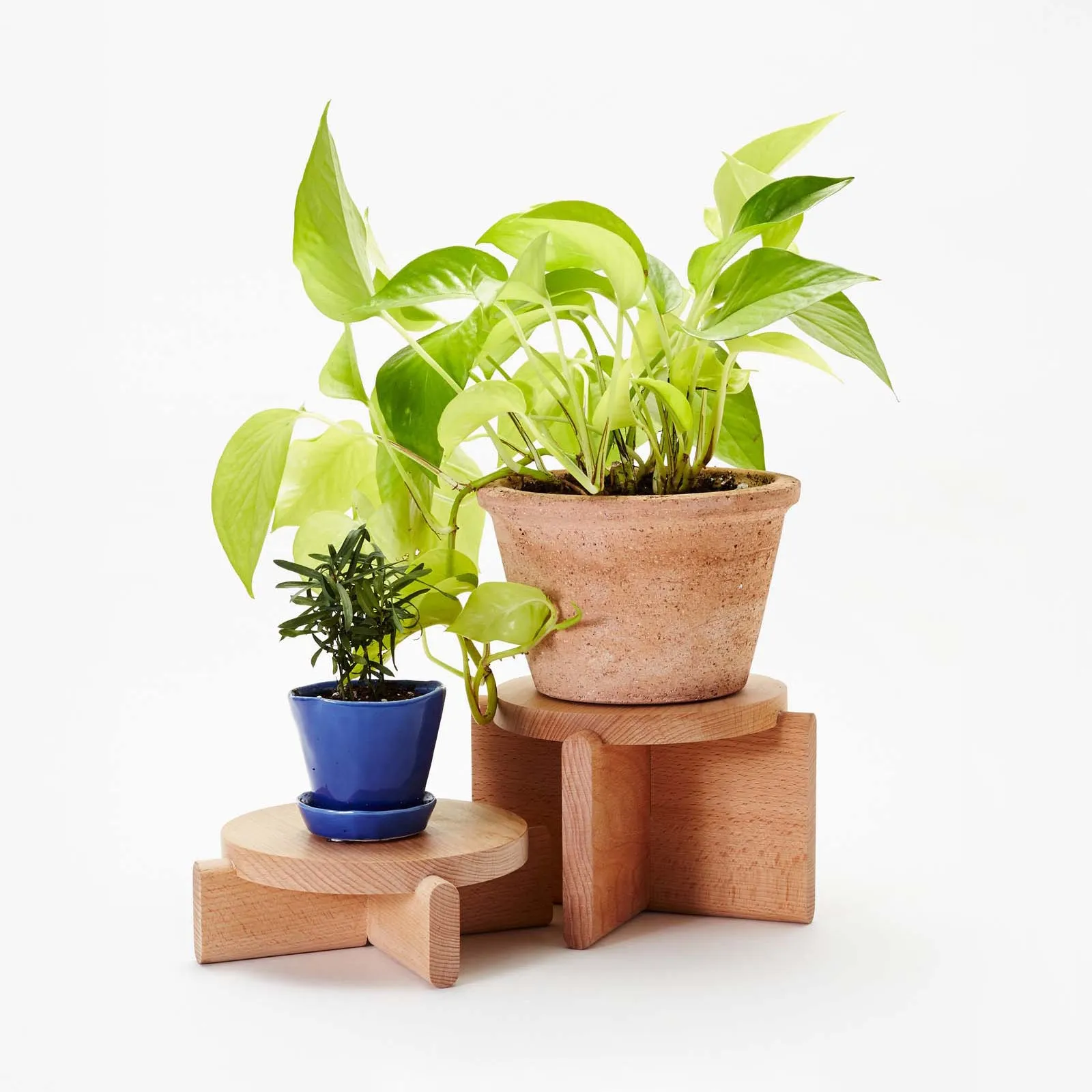 Plant Pedestal Set