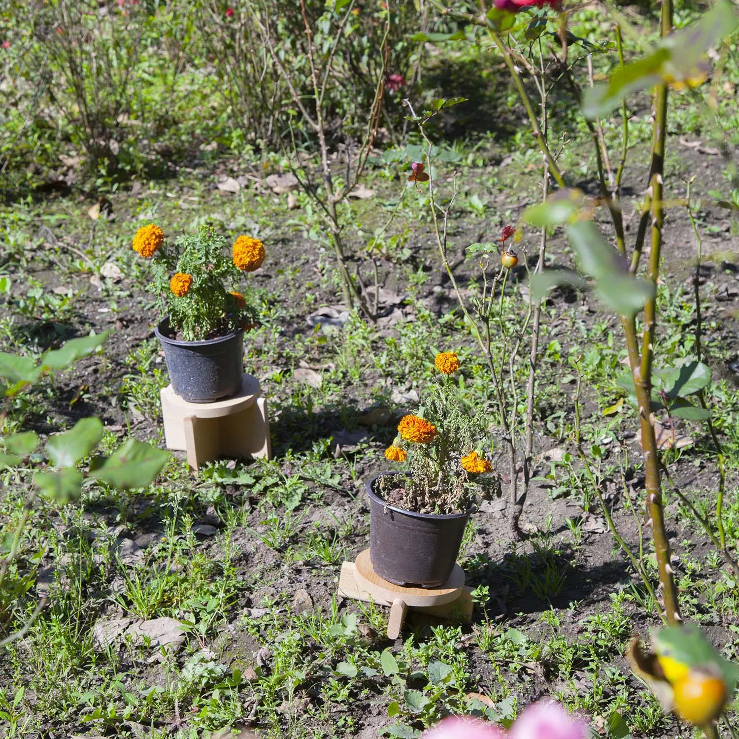 Plant Pedestal Set