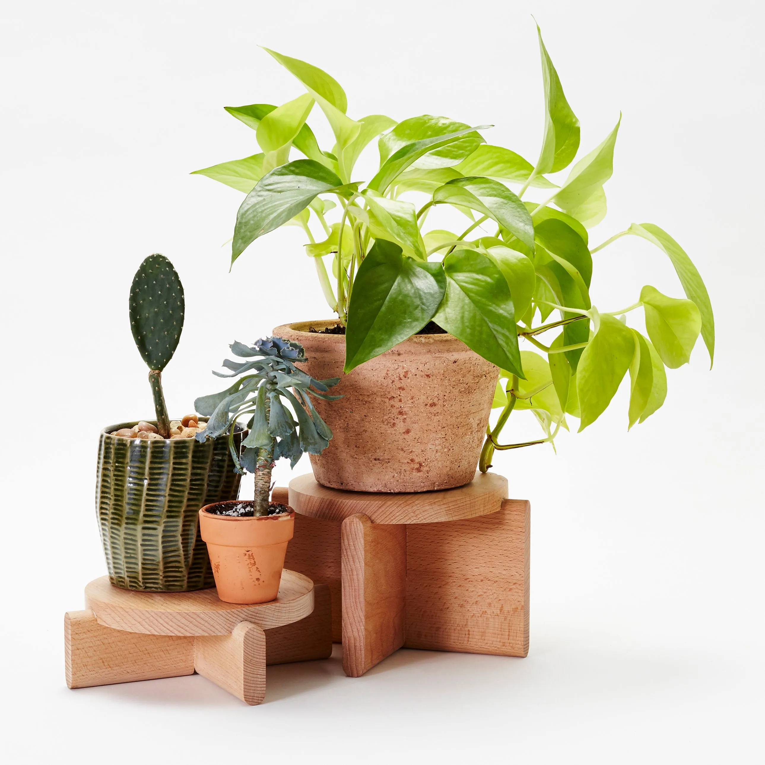 Plant Pedestal Set