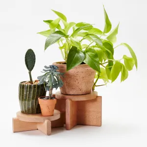 Plant Pedestal Set