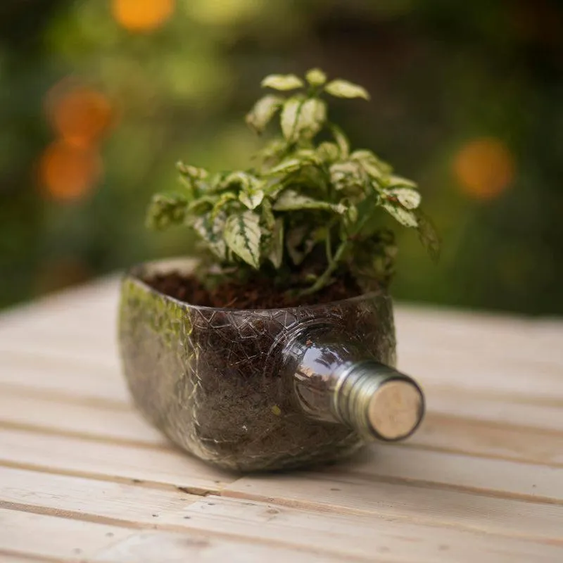 Rum Bottle Planter (Table Top)