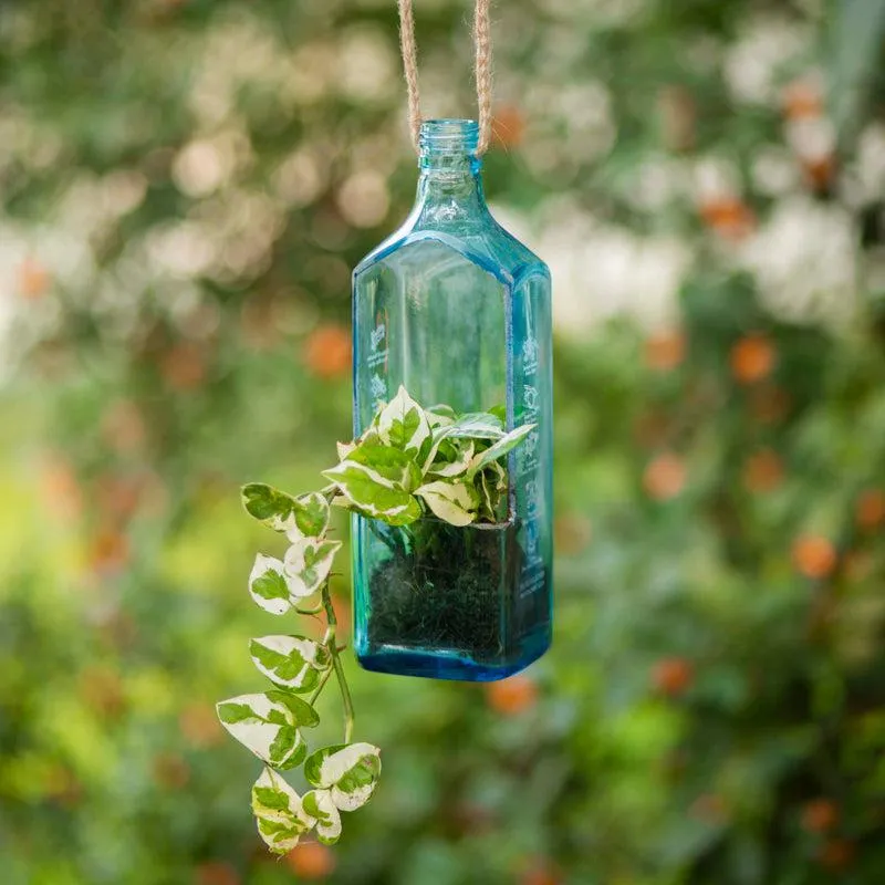Sapphire Bottle Planter (Hanging)