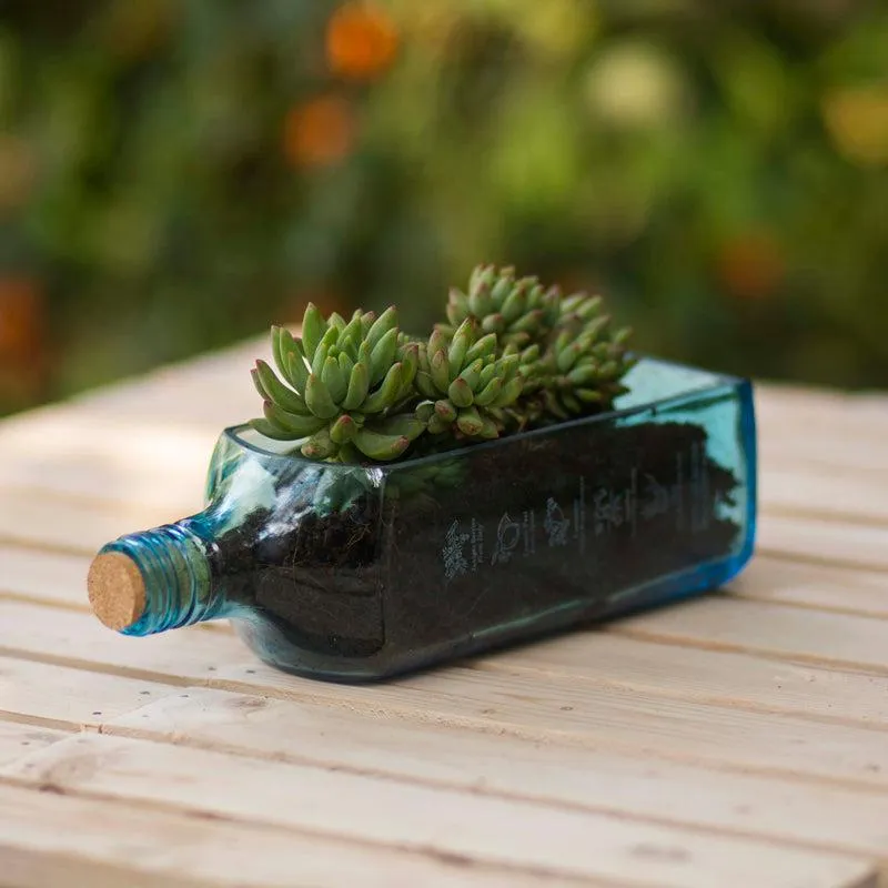 Sapphire Bottle Planter (Table Top)