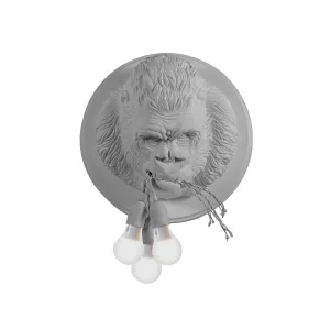 Ugo Rilla Wall Sconce