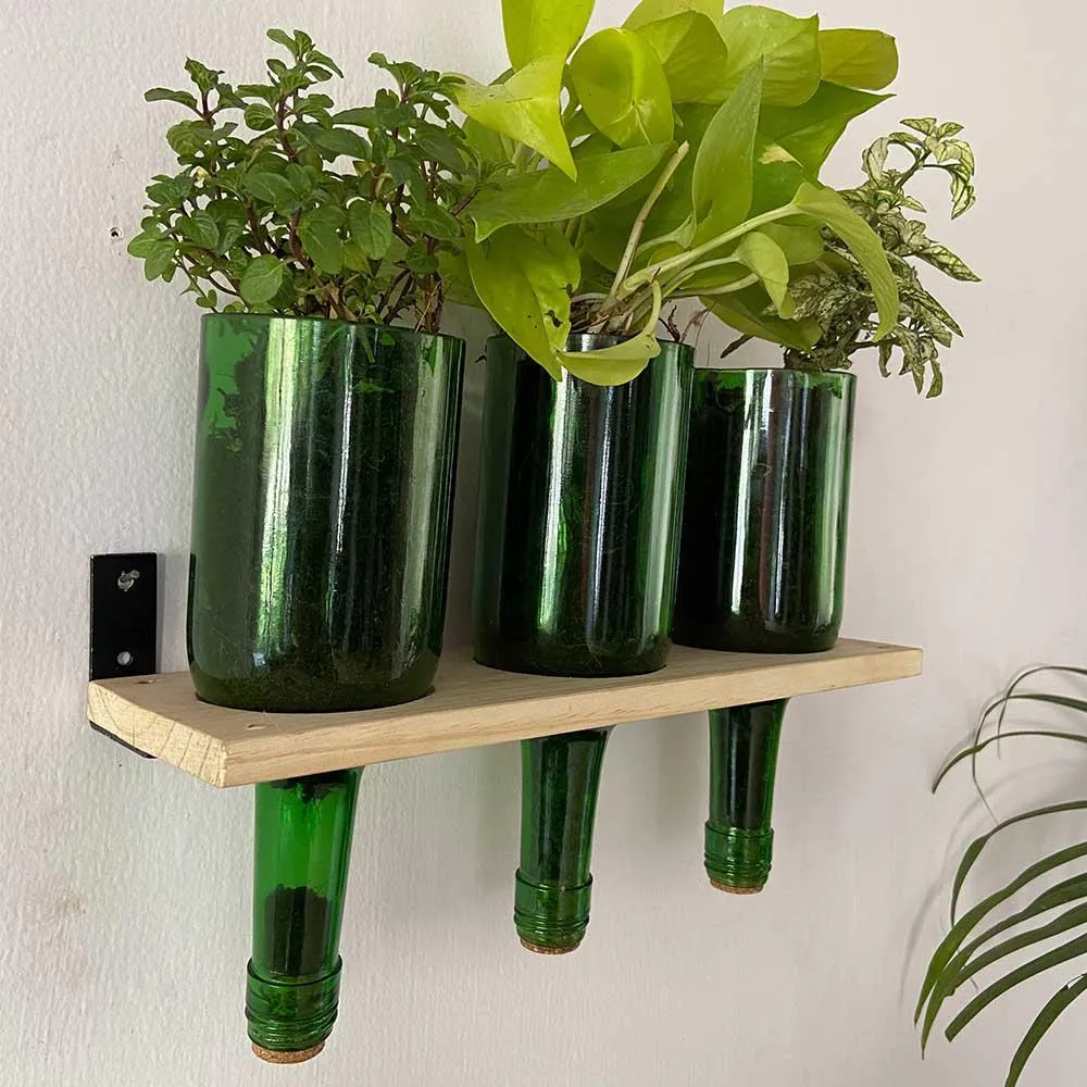 Wine Bottle Planters With Wooden Stand